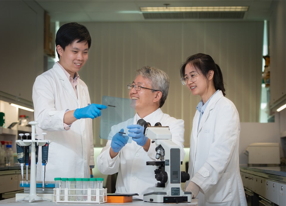 The Centre is established to perform Chinese herbal medicine research in Hong Kong through collaboration with local and international partners.