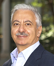 Professor Fawwaz Habbal