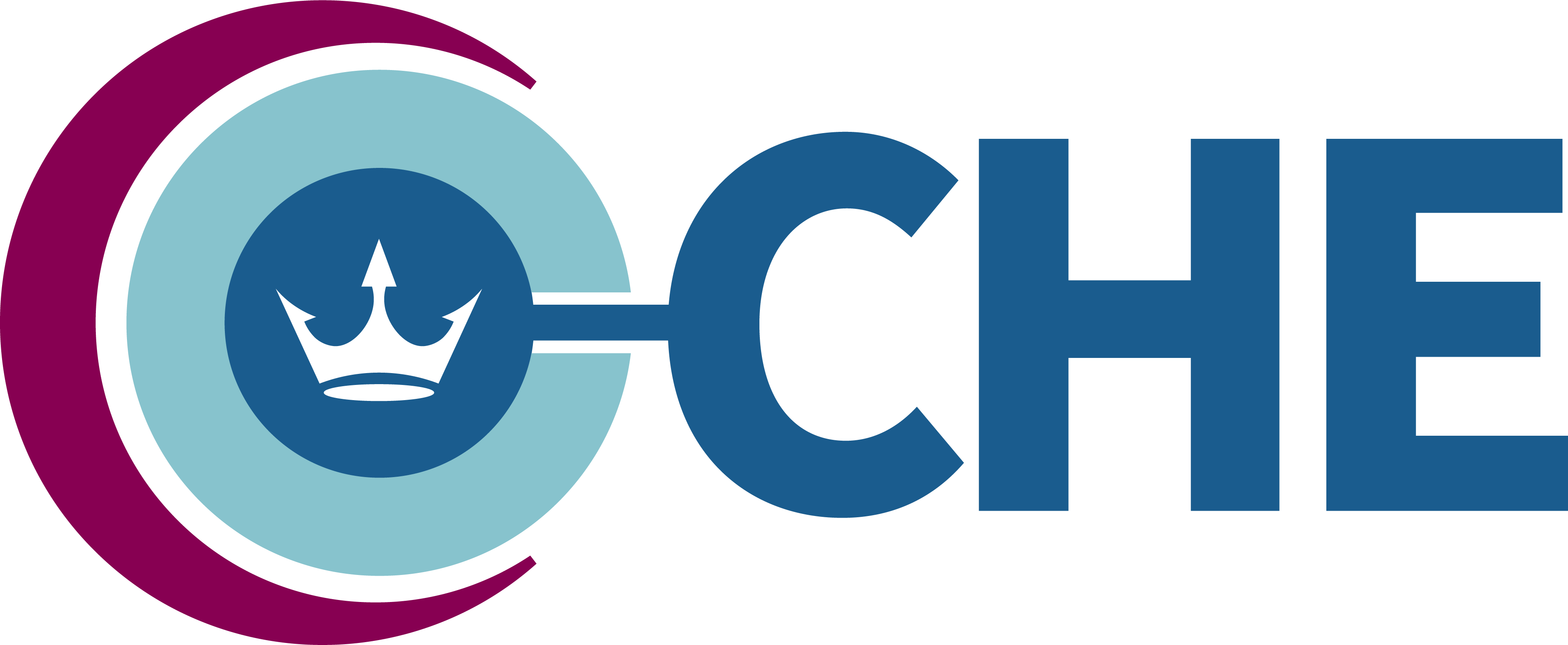 香港心腦血管健康工程研究中心