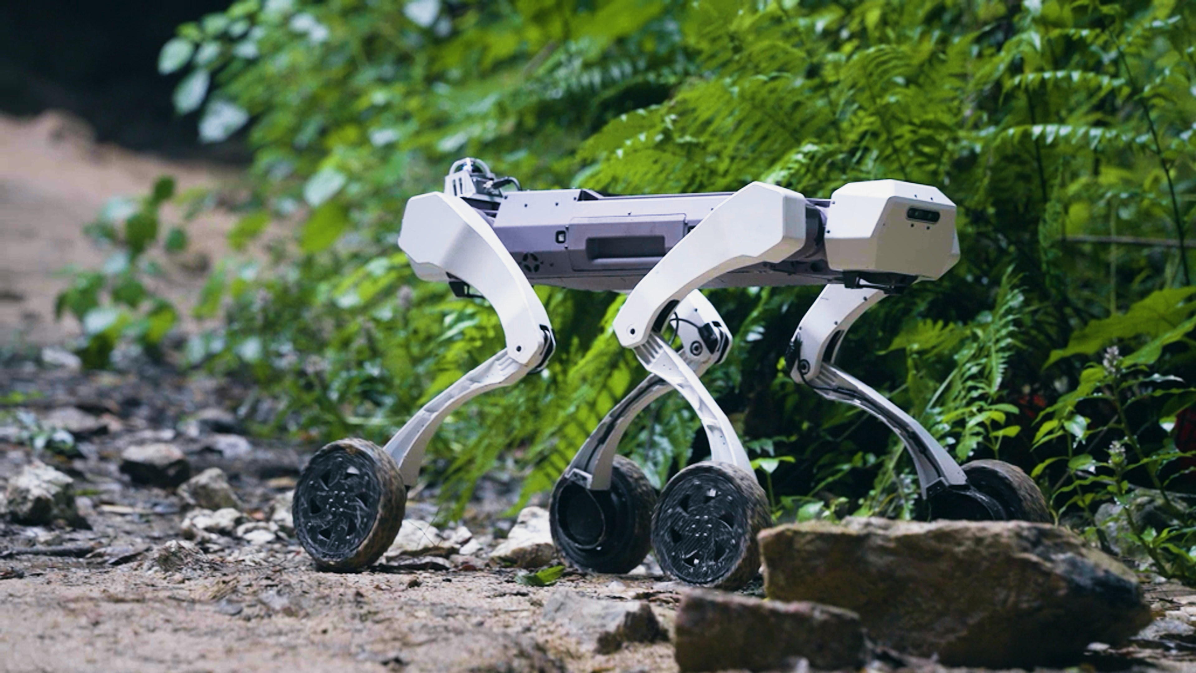 人工智能驅動的四足機械人，搭載創新差分驅動系統