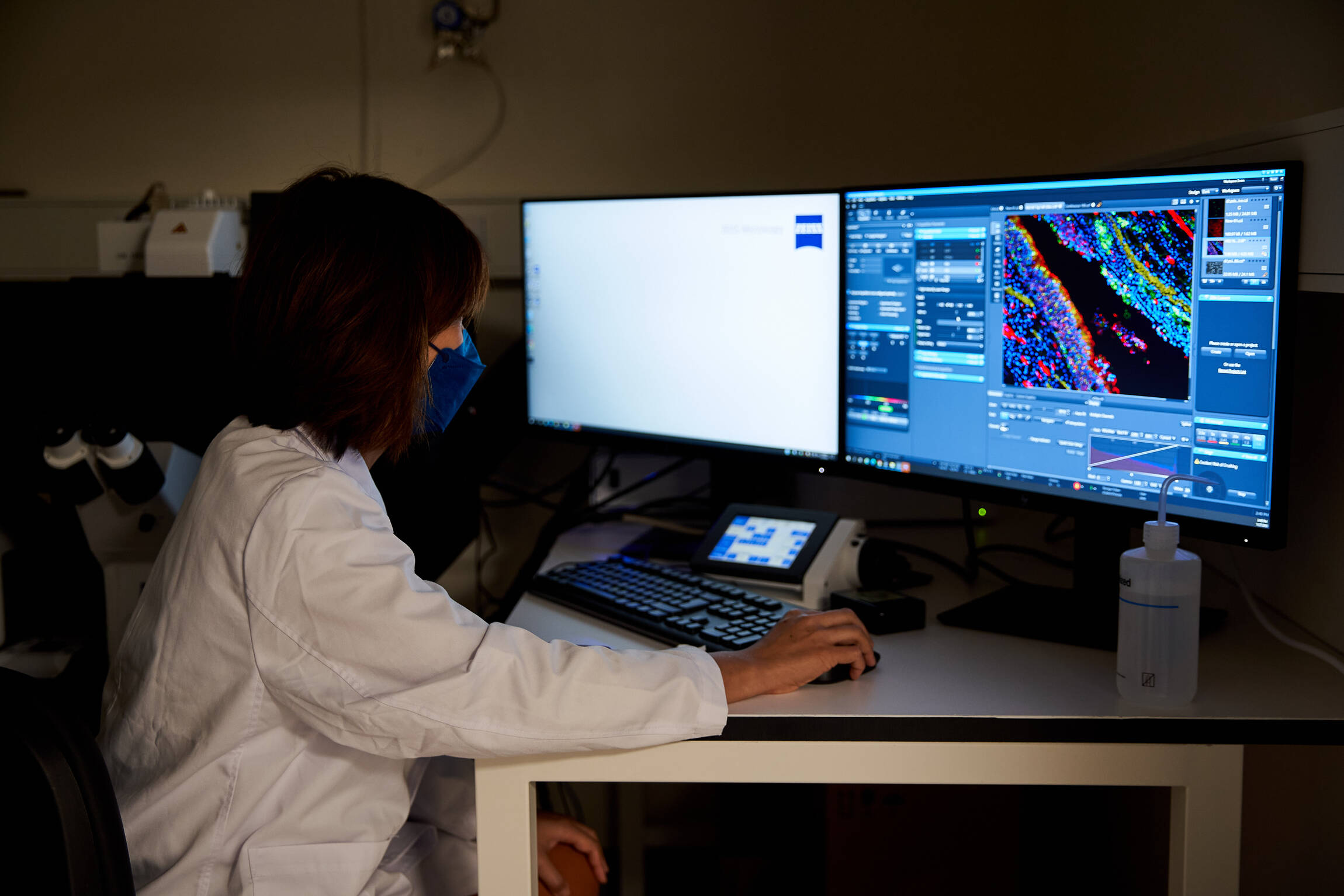 A researcher observing the virus distribution in an infected sample.