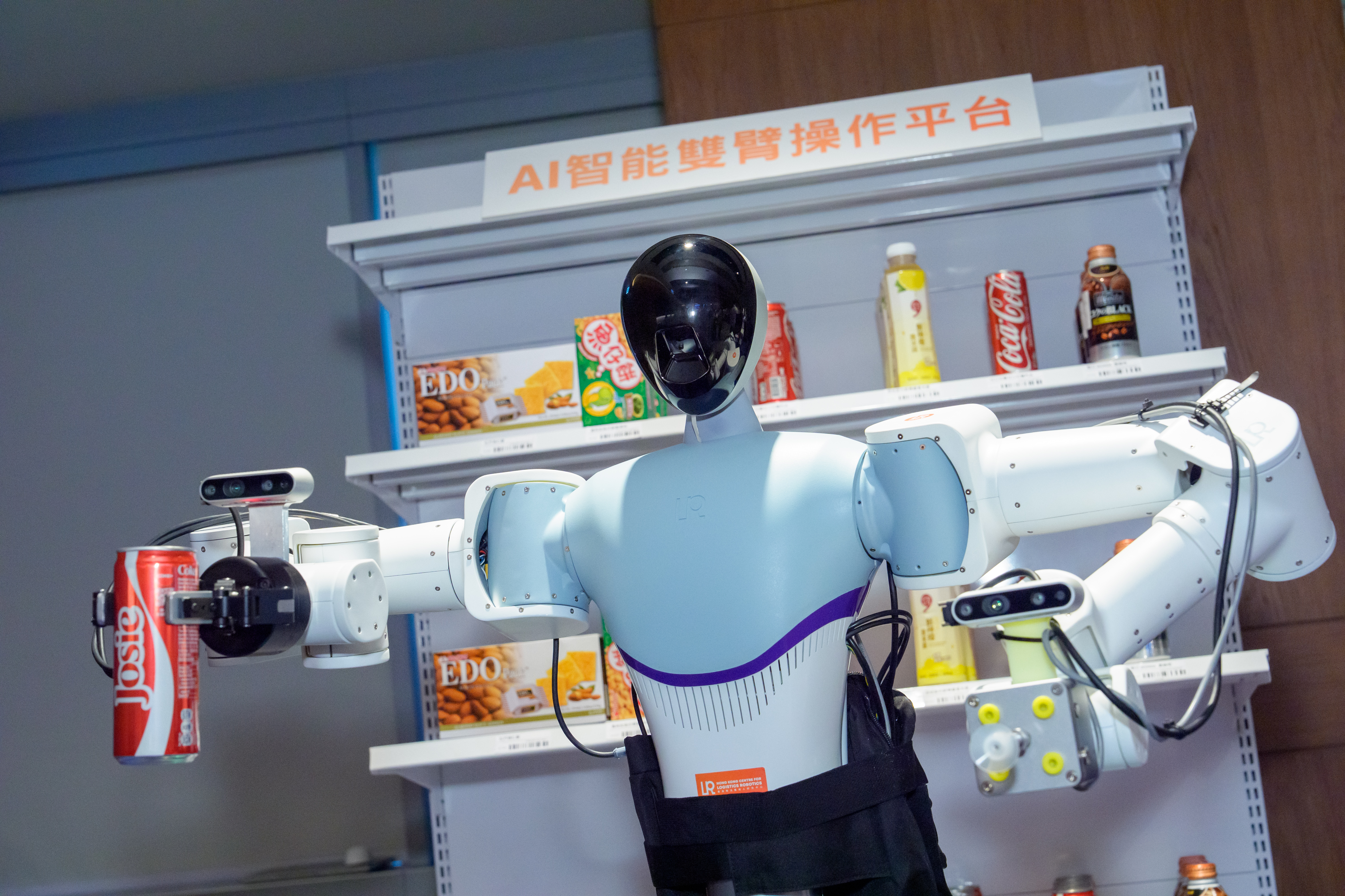 基於視覺語言模型的AI雙臂操作平台